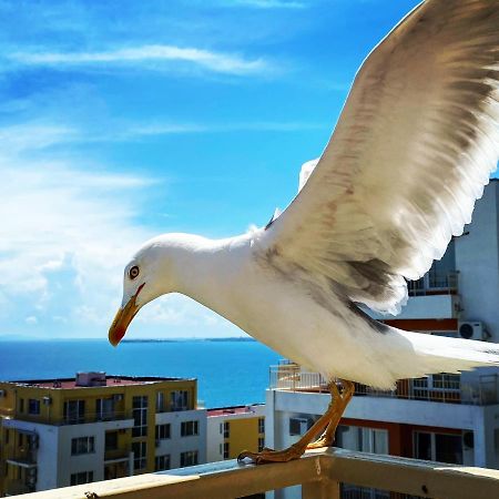 Sea View Panoramic Apartments, Fort Noks Crown Club Sveti Vlas Luaran gambar