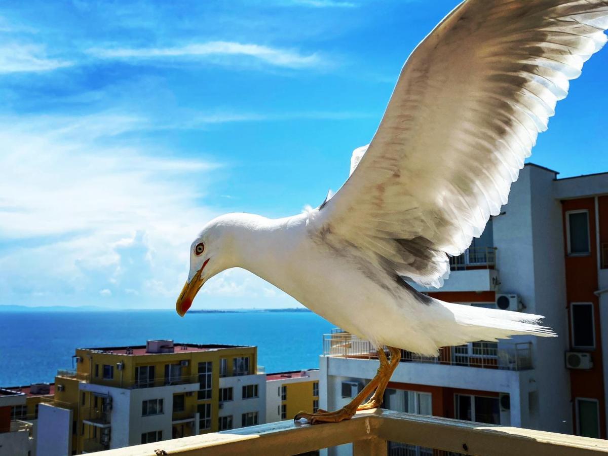 Sea View Panoramic Apartments, Fort Noks Crown Club Sveti Vlas Luaran gambar
